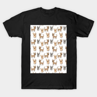 Chihuahua chihuahuas T-Shirt